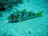 2009-09-08 13-08-32S